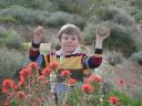 Kent and Indian Paintbrush flowers